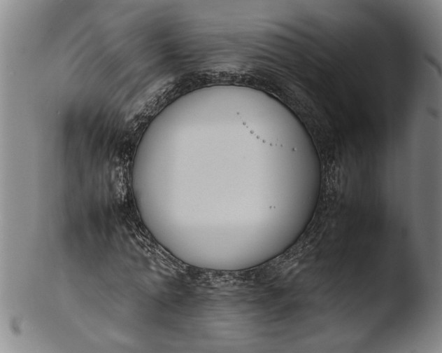 X0000103450774200809261816