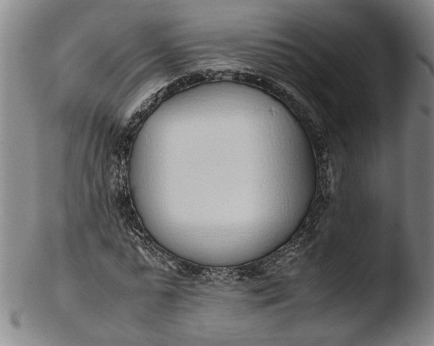 X0000103450775200809261816