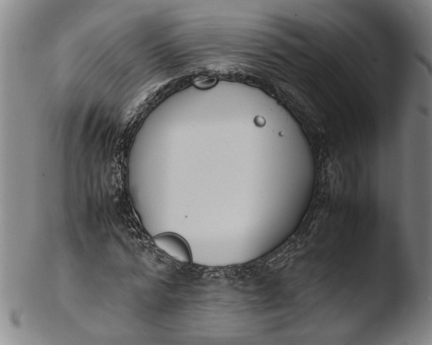 X0000103450776200809261816