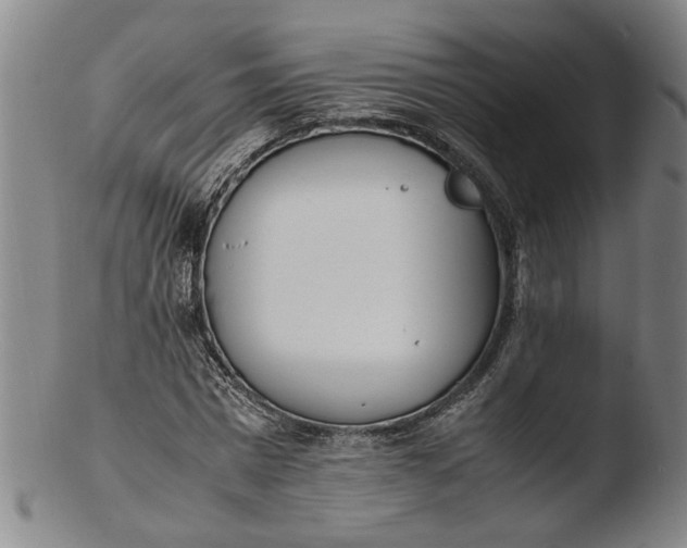 X0000103450777200809261816