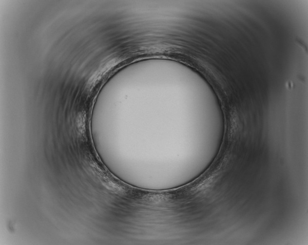 X0000103450778200809261816