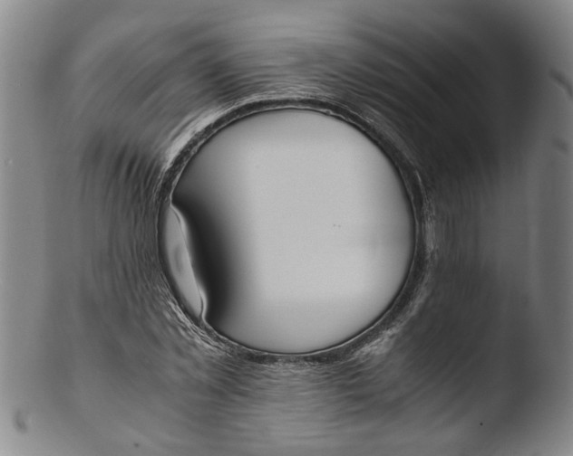 X0000103450781200809261816