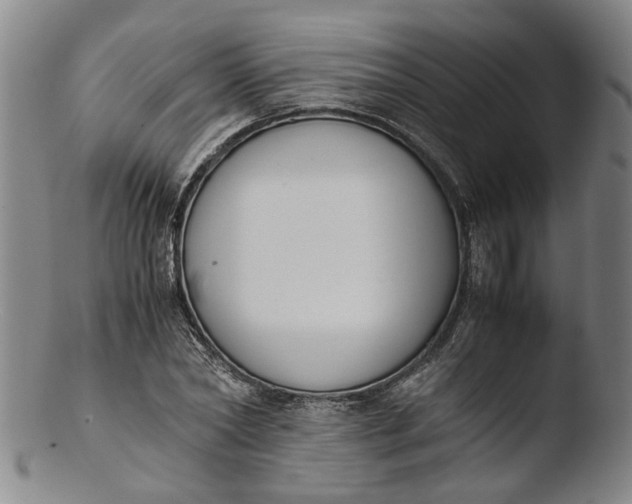 X0000103450782200809261816