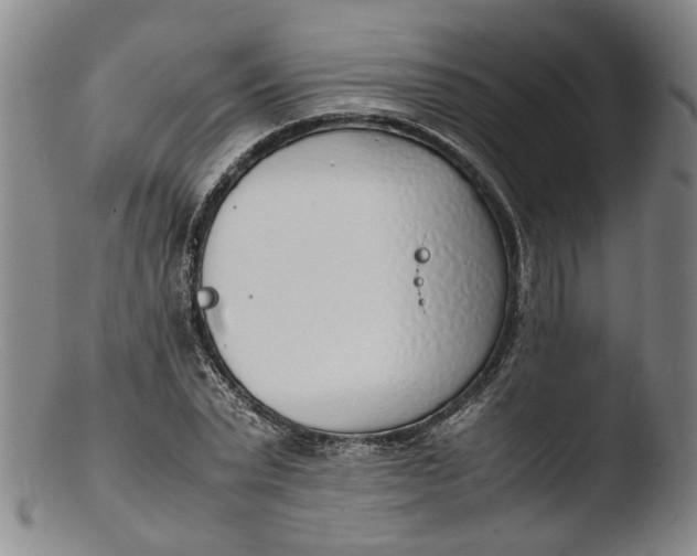 X0000103450783200809261816