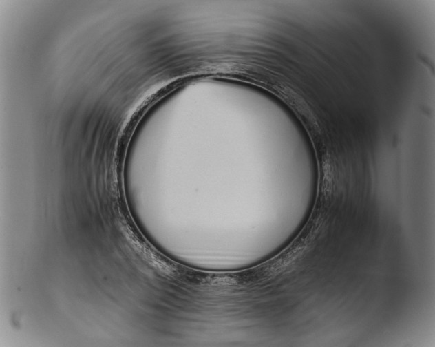 X0000103450784200809261816