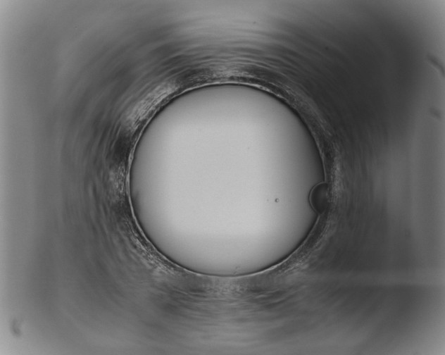 X0000103450785200809261816