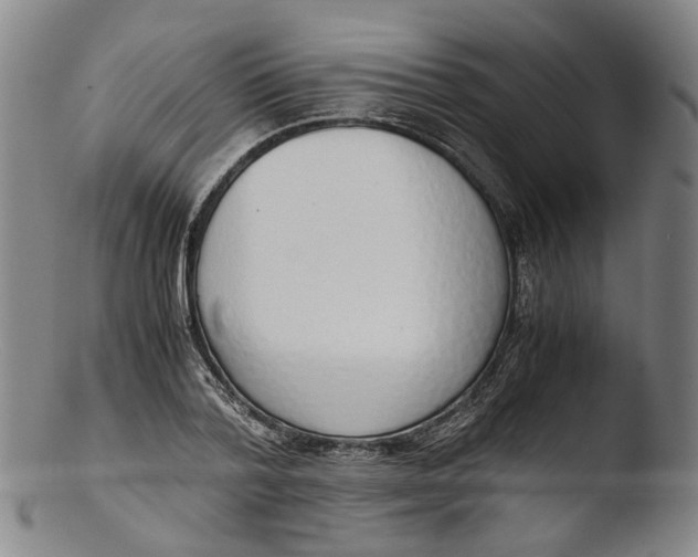 X0000103450788200809261816