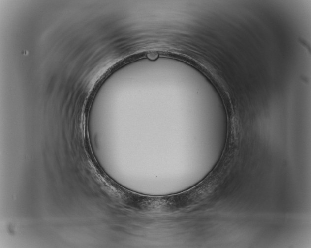 X0000103450791200809261816