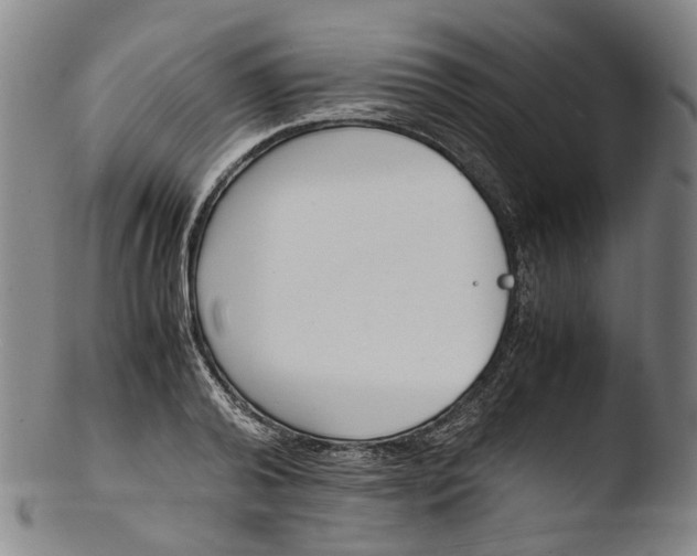 X0000103450792200809261816