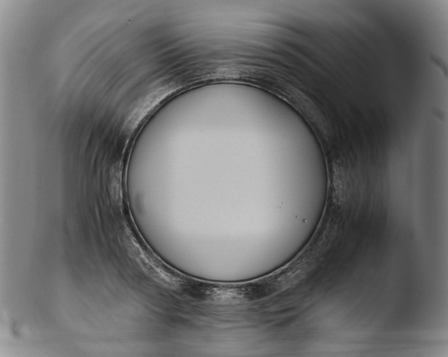 X0000103450794200809261816