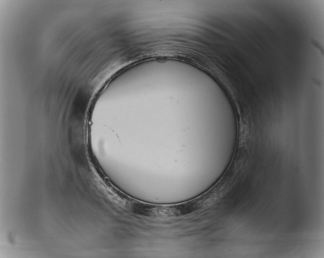 X0000103450795200809261816