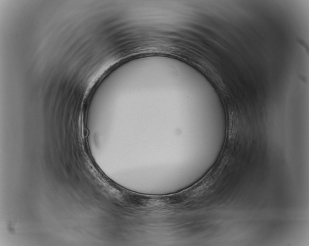 X0000103450796200809261816