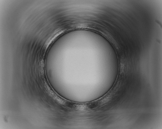 X0000103450798200809261816