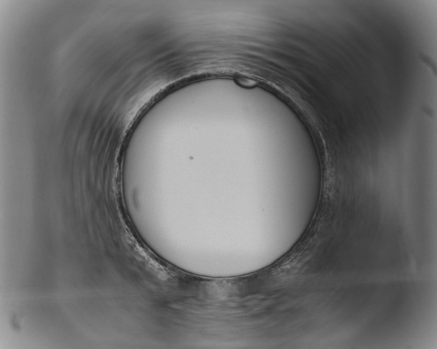 X0000103450799200809261816