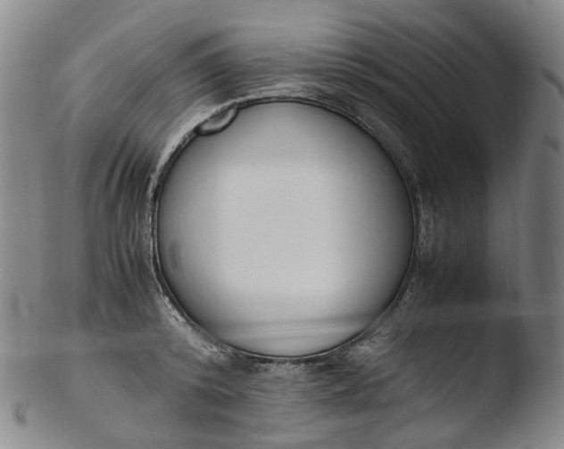 X0000103450800200809261816