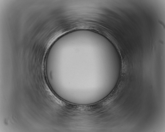 X0000103450803200809261816