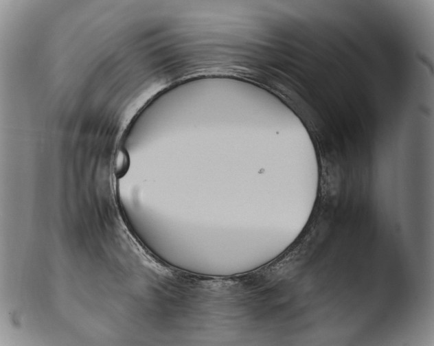 X0000103450804200809261816