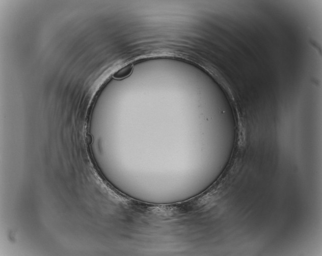 X0000103450805200809261816