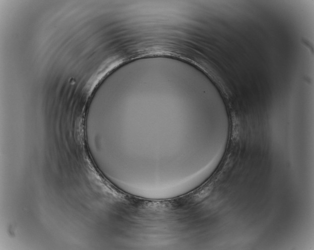 X0000103450806200809261816