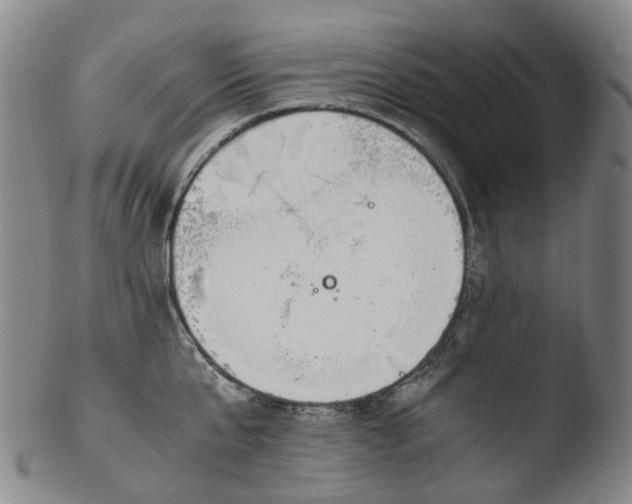 X0000103450807200809261816