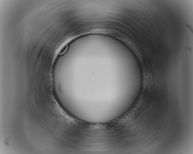 X0000103450808200809261815