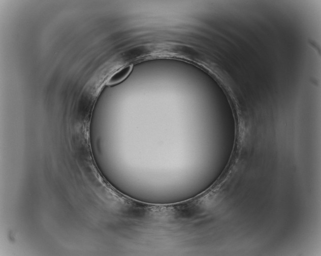 X0000103450809200809261815