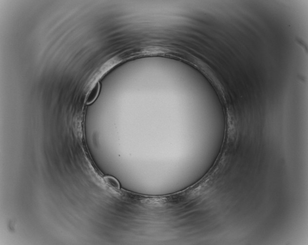 X0000103450810200809261815