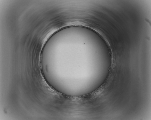 X0000103450815200809261815