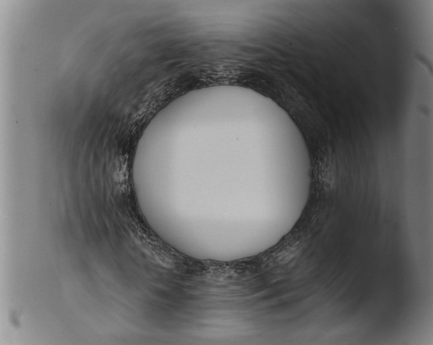 X0000103450818200809261815