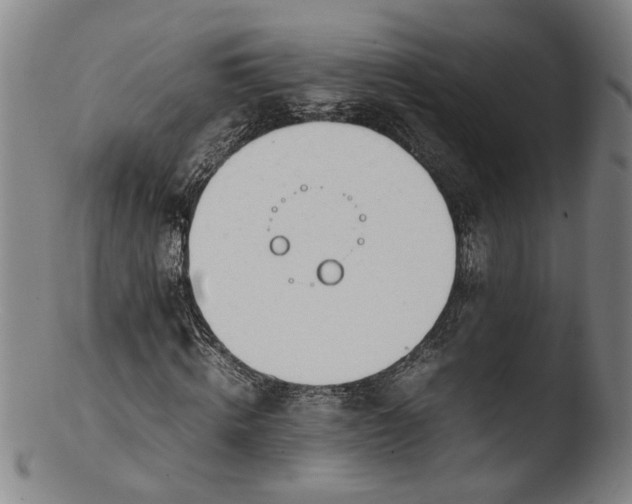 X0000103450820200809261815