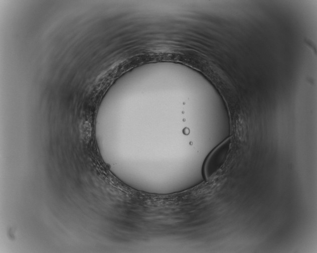 X0000103450821200809261815