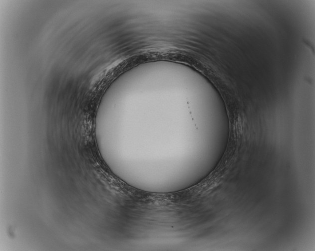 X0000103450822200809261815