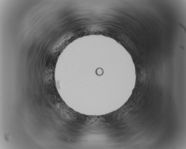 X0000103450824200809261815