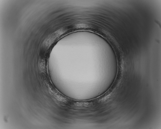 X0000103450825200809261815