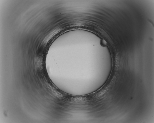 X0000103450826200809261815