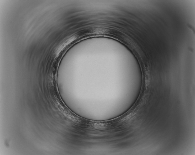 X0000103450827200809261815