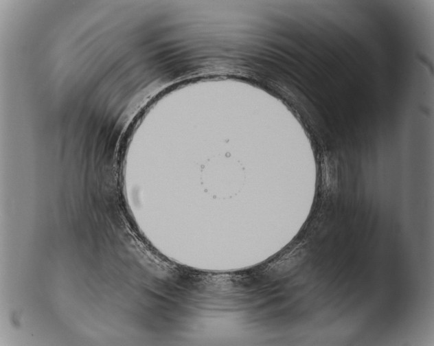 X0000103450828200809261815