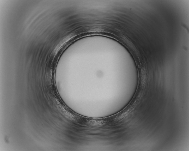 X0000103450831200809261815