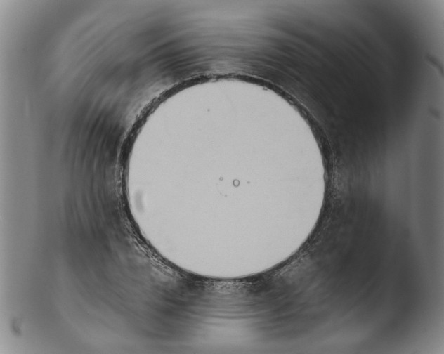 X0000103450832200809261815