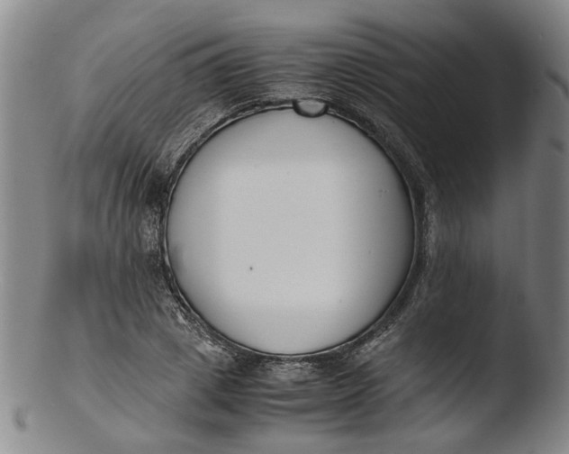 X0000103450833200809261815