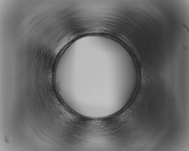 X0000103450834200809261815