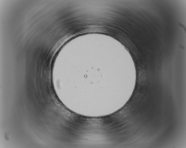 X0000103450836200809261815