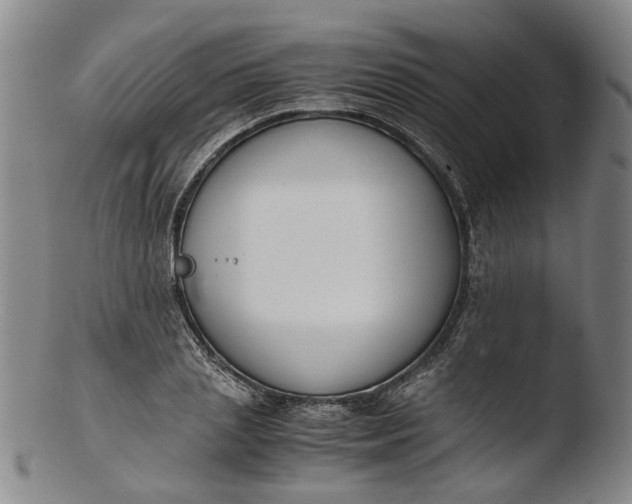 X0000103450837200809261815