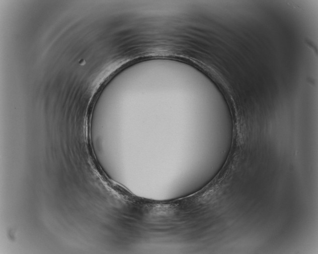 X0000103450839200809261815