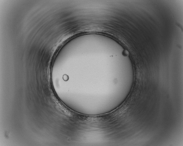 X0000103450840200809261815