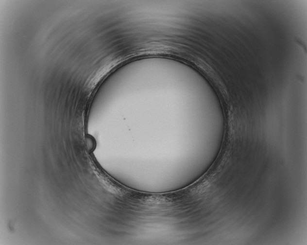 X0000103450842200809261815