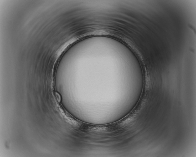 X0000103450845200809261815