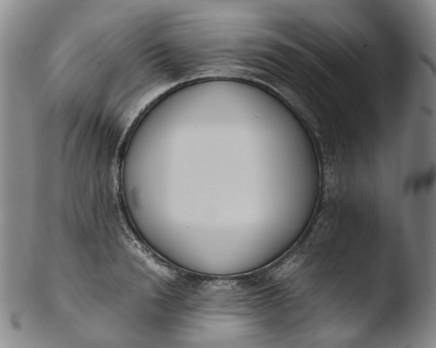 X0000103450846200809261815