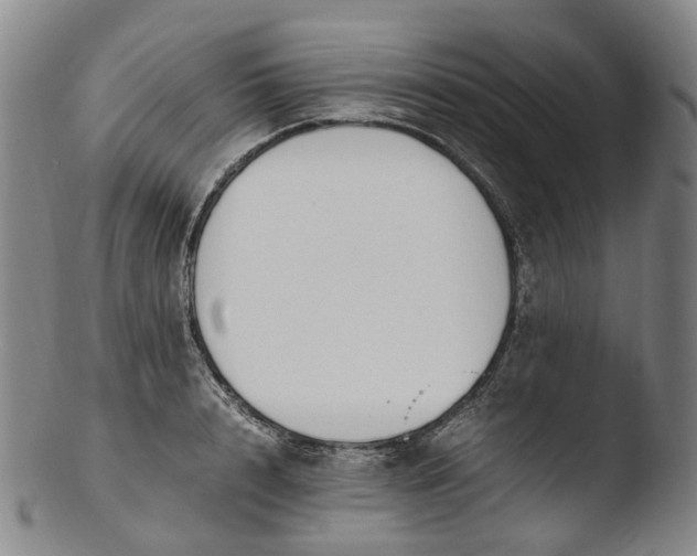 X0000103450848200809261815