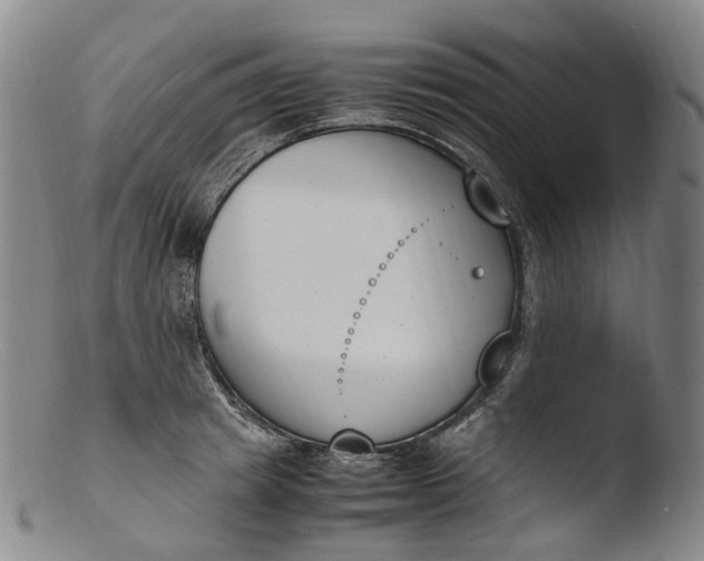 X0000103450849200809261815